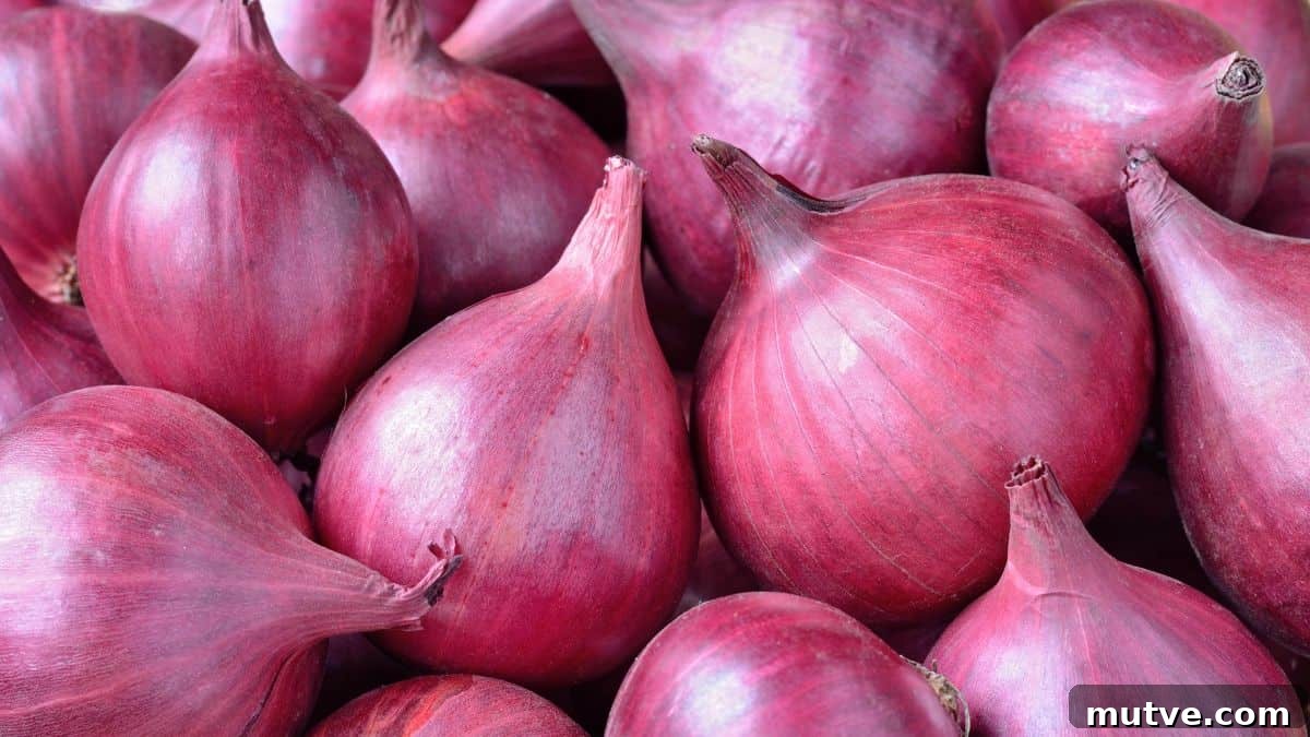 red onion