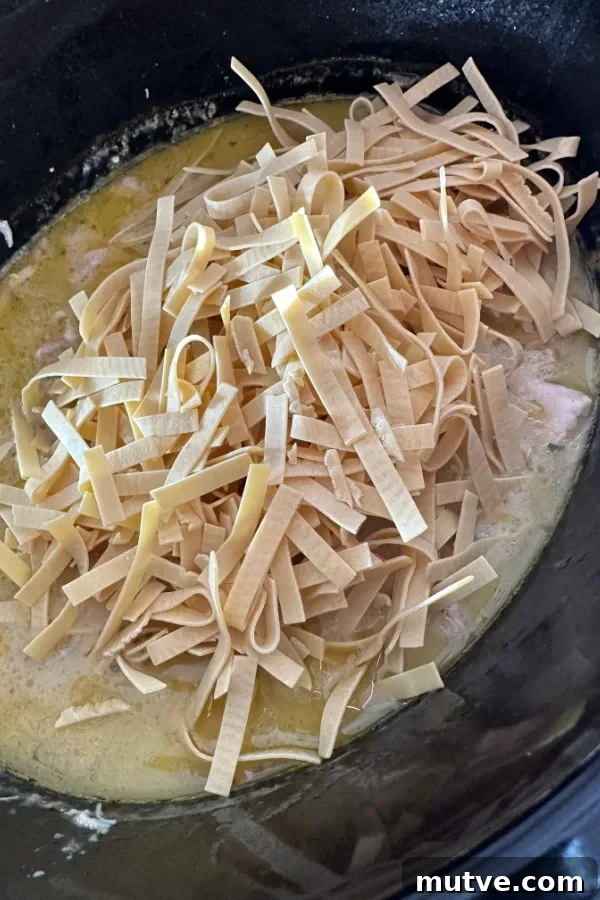 thin egg noodles