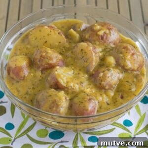 A bowl filled with crock pot cheesy ranch potatoes.