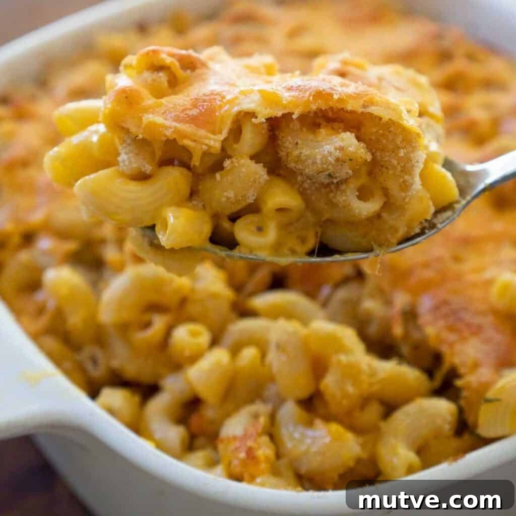 15 Delicious Sides to Serve with Brussels Sprouts 5 spoon holding scoop of baked box mac and cheese in baking dish