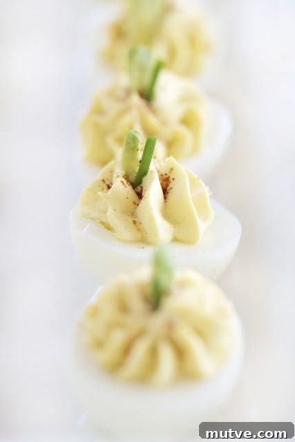 25+ Deviled Egg Recipes for Parties, Holidays and Potlucks 10 Cream Cheese Deviled Eggs | 25+ Deviled Egg Recipes