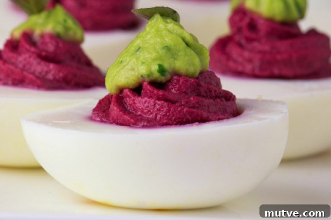 25+ Deviled Egg Recipes for Parties, Holidays and Potlucks 17 Beet and Avocado Deviled Eggs | 25+ Deviled Egg Recipes