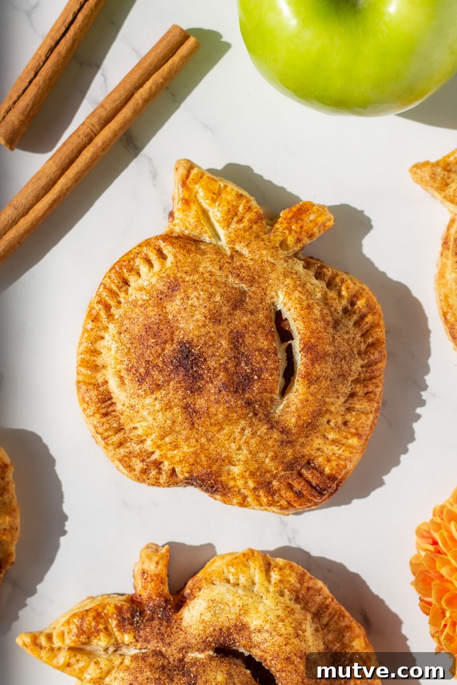apple hand pies