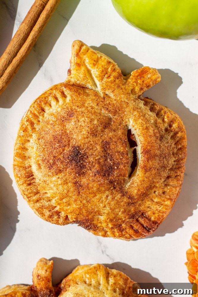 apple hand pies