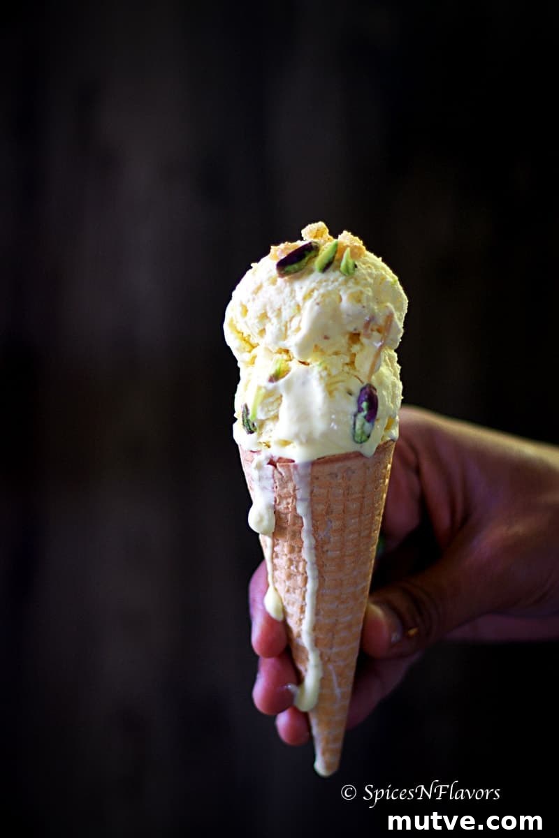 No-Churn Indian Butterscotch Ice Cream Recipe 2 no churn indian butterscotch ice cream