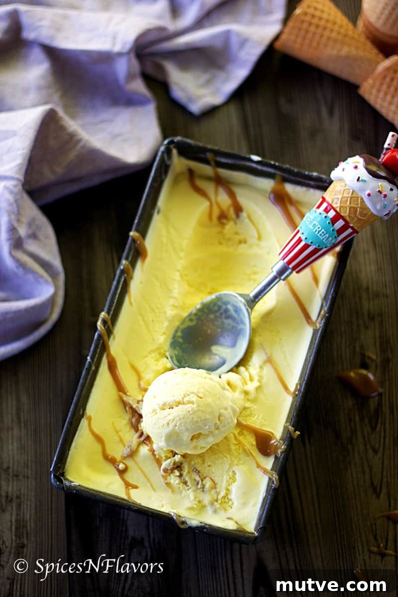 No-Churn Indian Butterscotch Ice Cream Recipe 3 butterscotch ice cream scoops