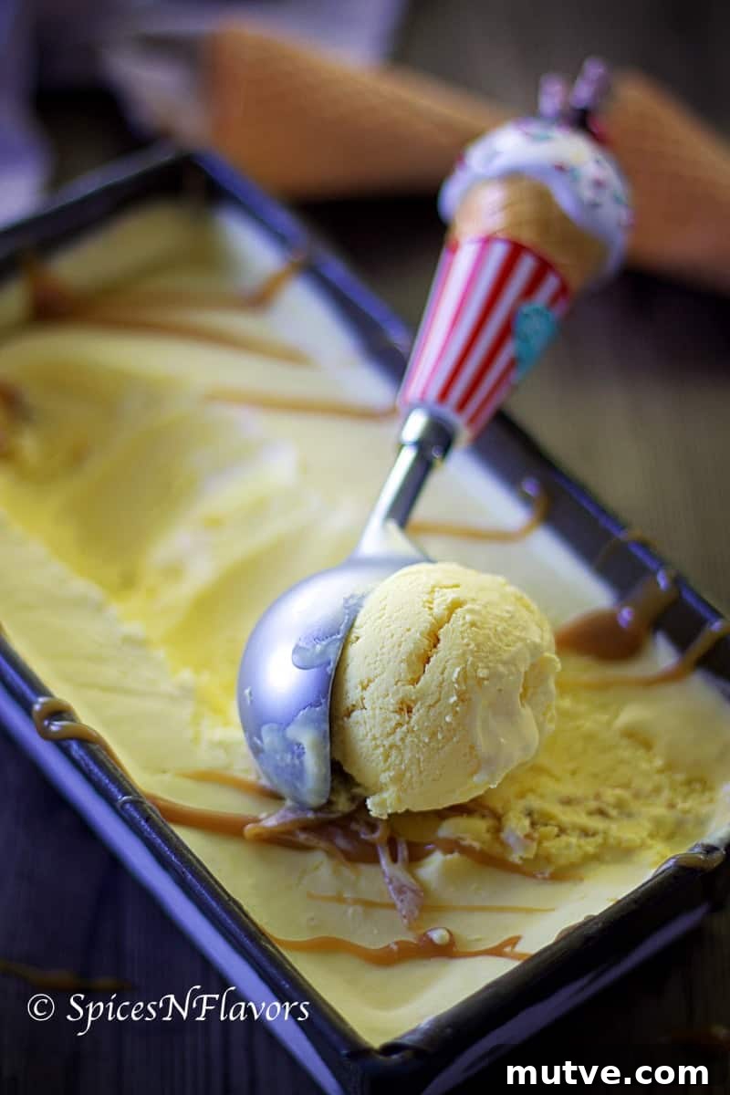 No-Churn Indian Butterscotch Ice Cream Recipe 4 butterscotch ice cream close-up