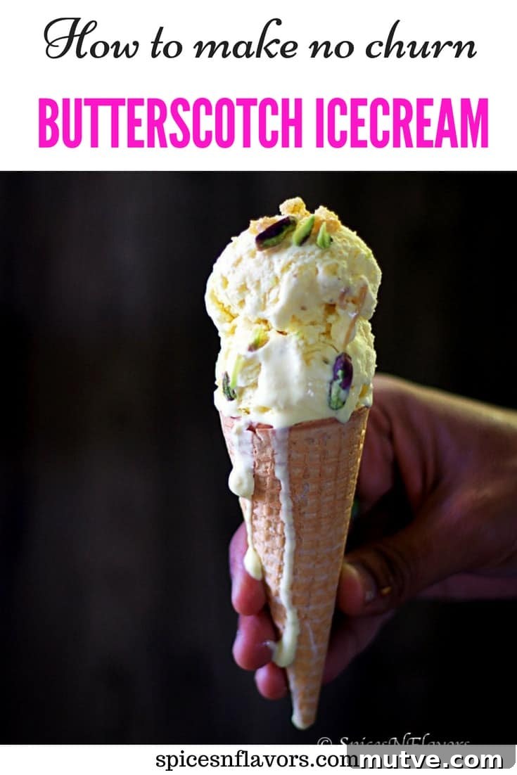 No-Churn Indian Butterscotch Ice Cream Recipe 5 pin image of butterscotch ice-cream