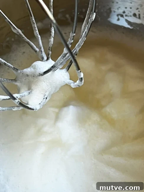 Tishpishti Honey Almond Cake with Citrus Syrup 15 Stiff peak egg whites in mixer bowl with whisk showing.