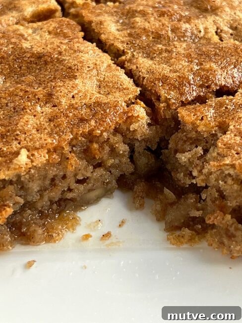 Tishpishti Honey Almond Cake with Citrus Syrup 18 Close up of cut honey almond cake after the syrup has been poured over it.