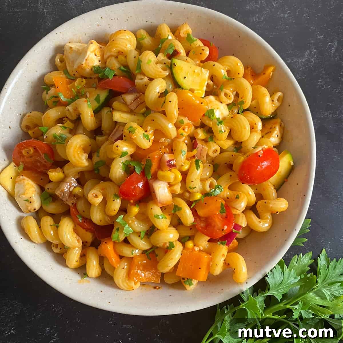 Salad Supreme Pasta Salad with McCormick Seasoning 2 salad supreme recipes