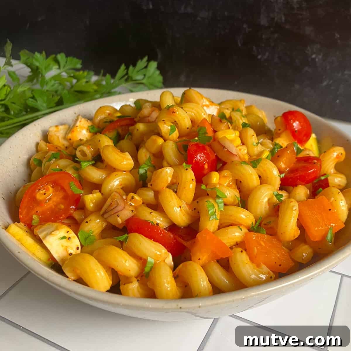 Salad Supreme Pasta Salad with McCormick Seasoning 6 pasta salad with salad supreme