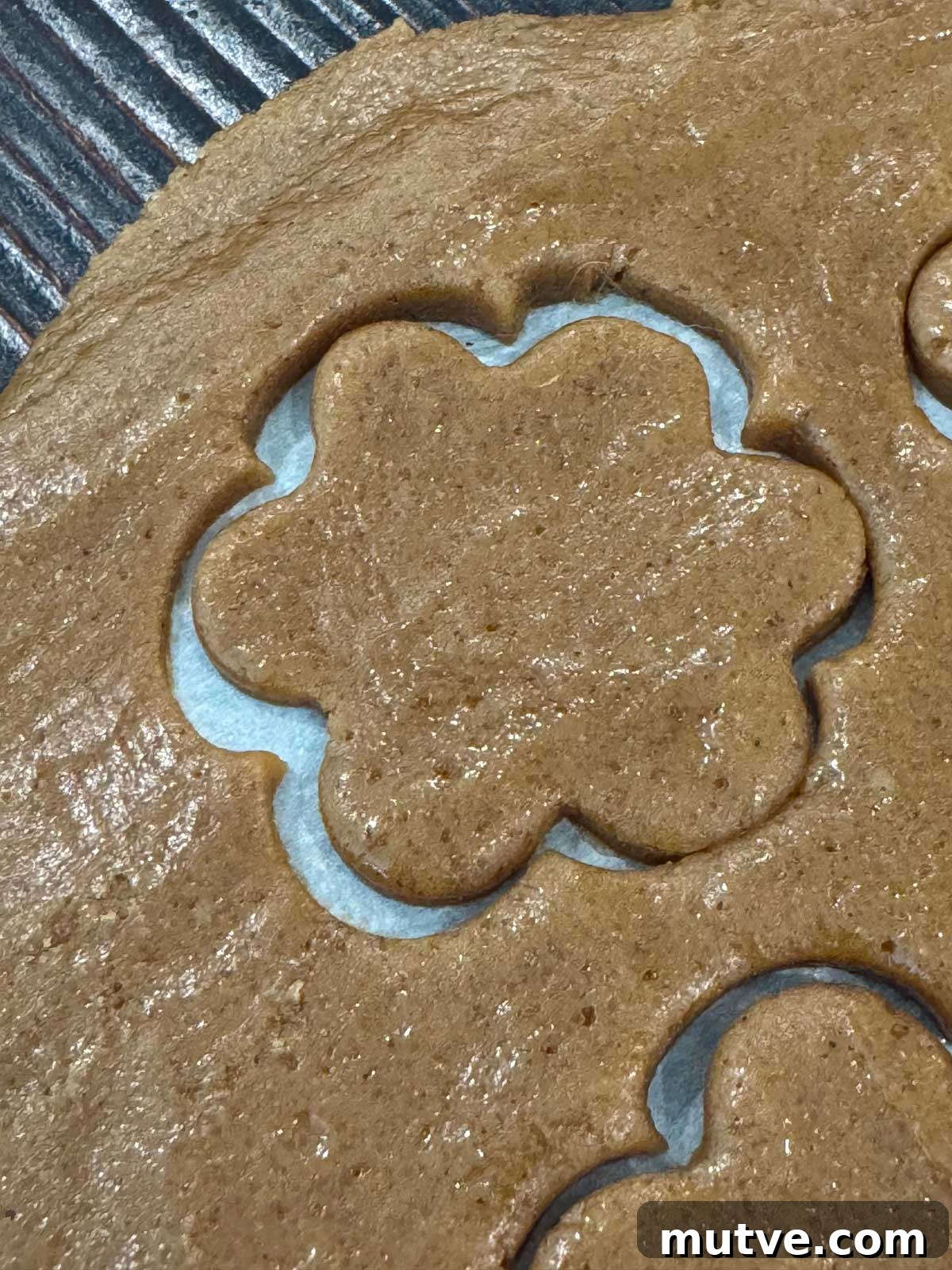 Swedish Gingersnaps (Pepparkakor) dough being cut on parchment paper.
