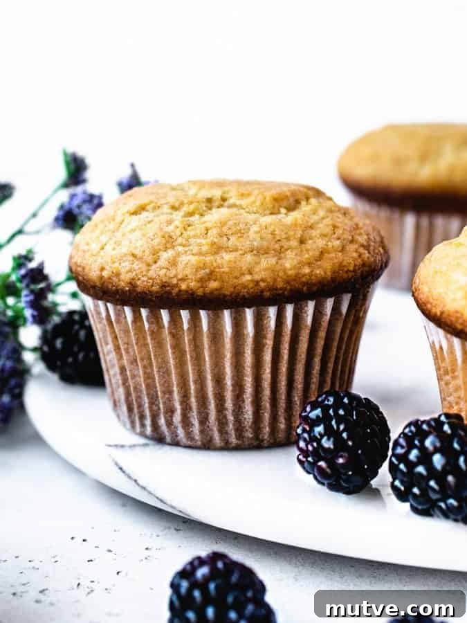 Homemade Honey Corn Muffins Recipe 3 honey corn muffins with blackberries sprinkled around