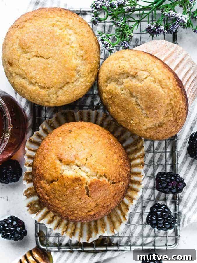 Homemade Honey Corn Muffins Recipe 4 Overhead photo of jumbo corn muffins with honey and blackberries around