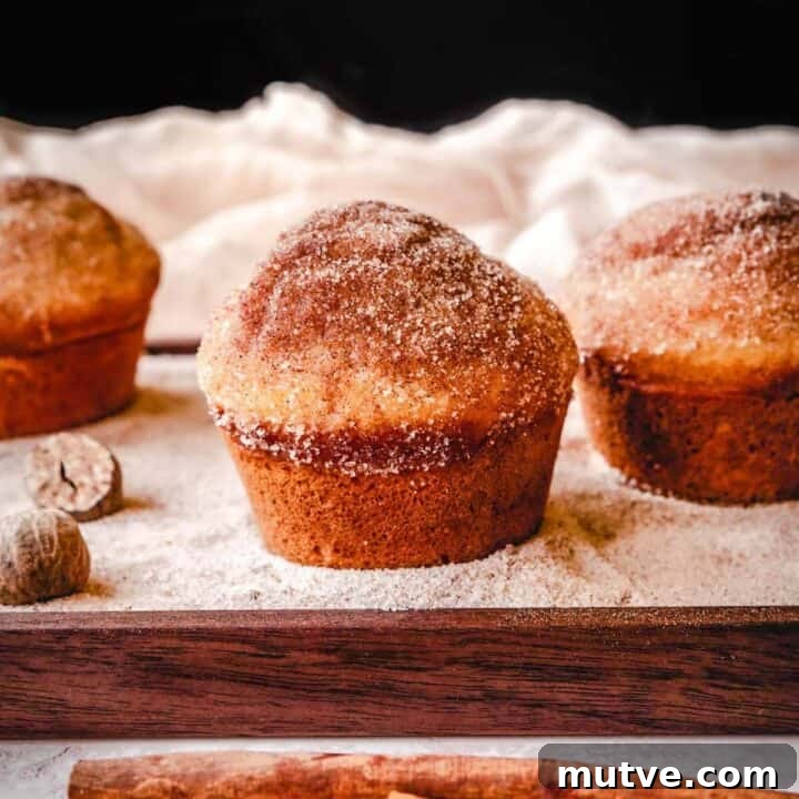 Cinnamon sugar donut muffins are so delicious.