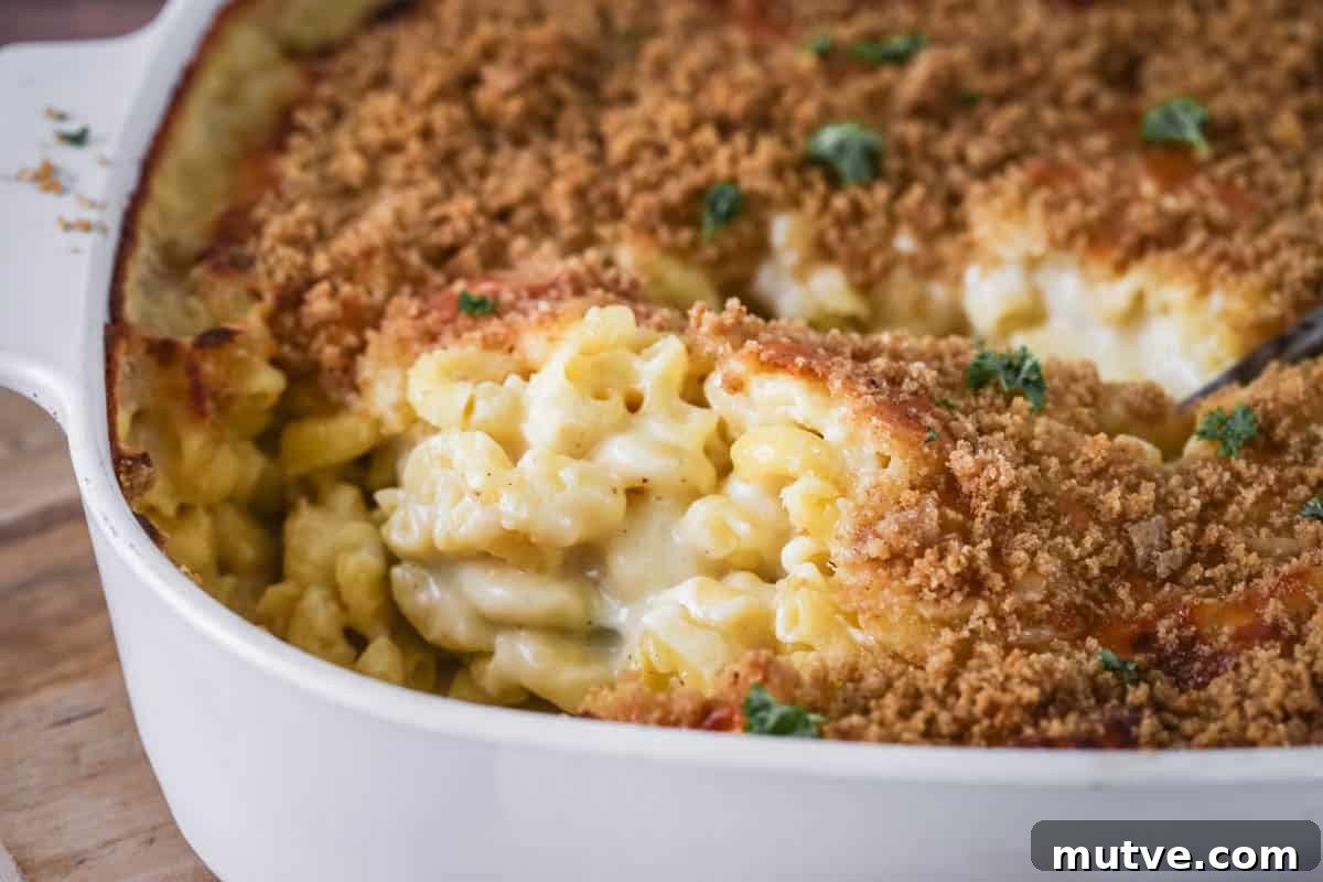 Serving spoon scooping out a portion showing ultra creamy and cheesy sauce clinging to tender macaroni pasta. With a golden crisp topping.