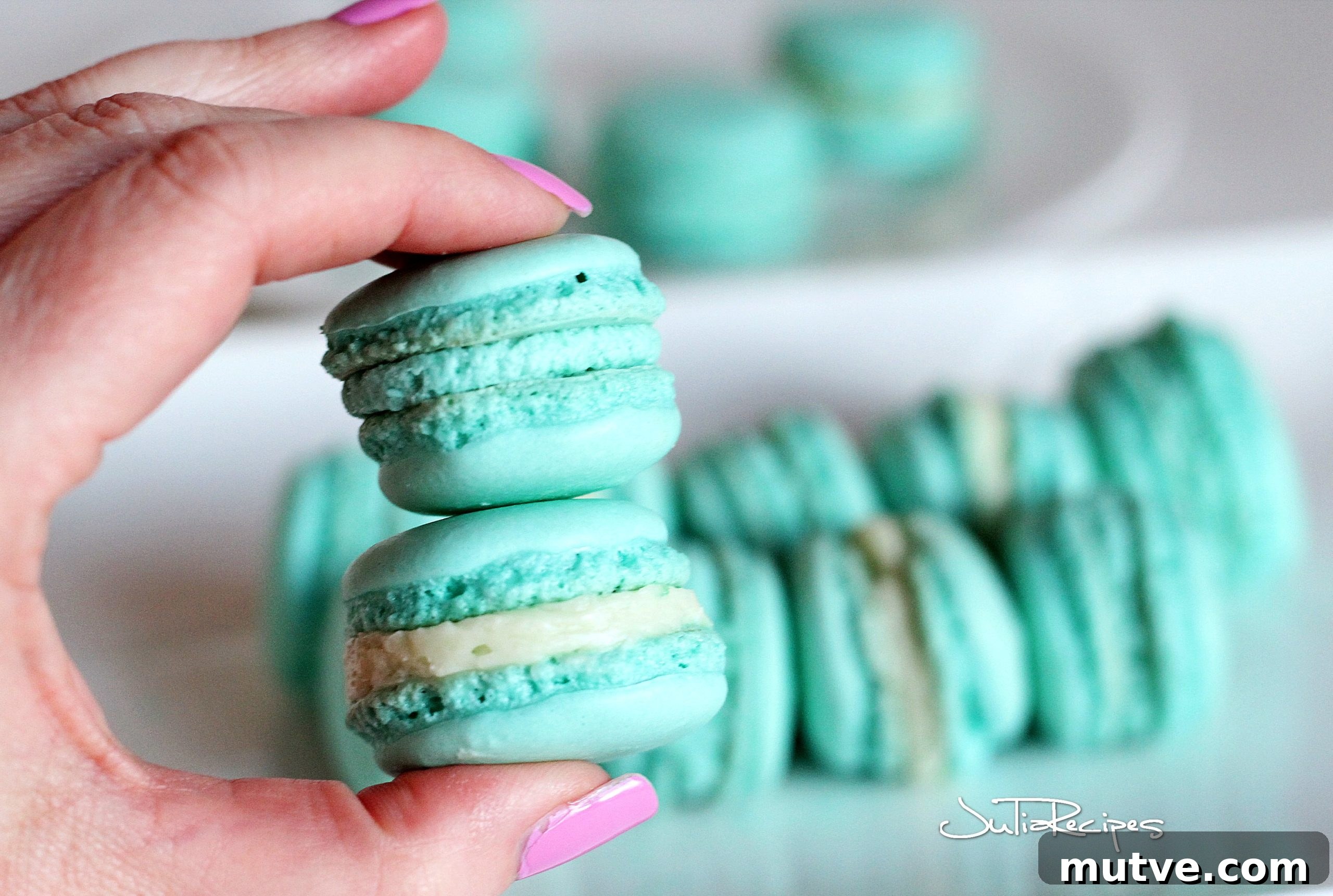 french macarons with praline cream