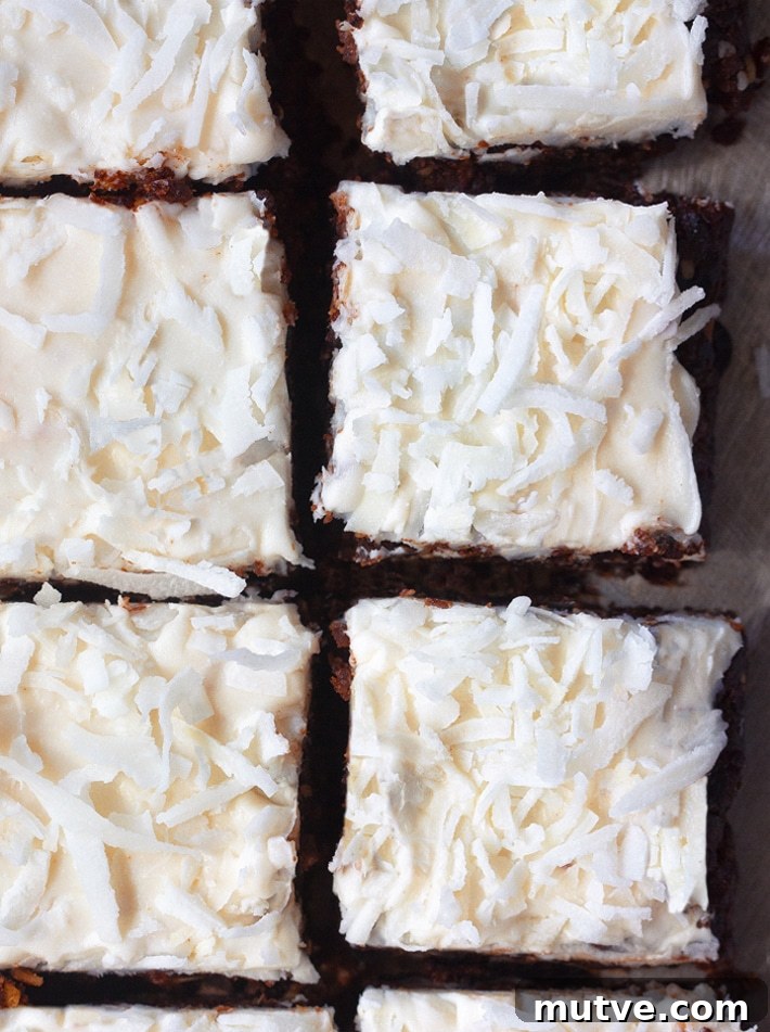 Vegan Chocolate Coconut Brownie Bars