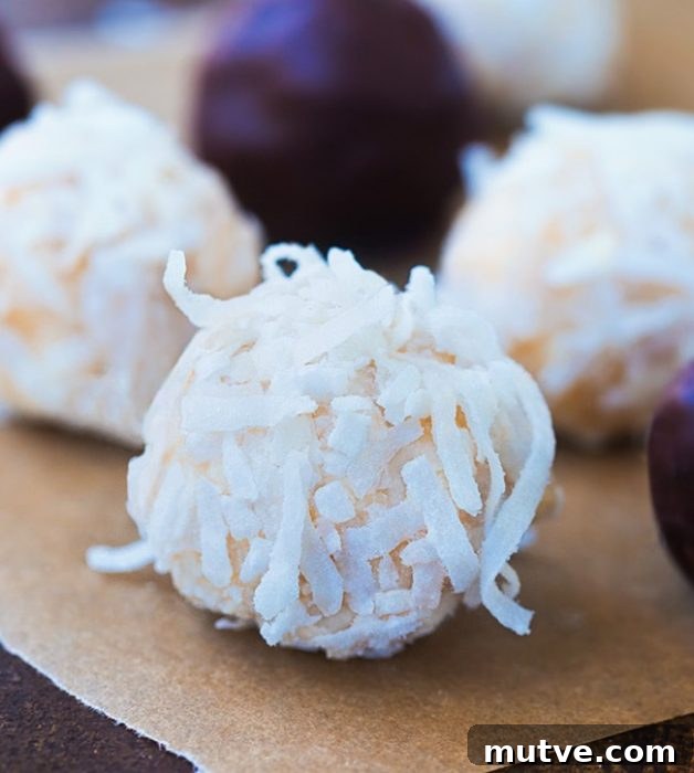 Raw Coconut Balls