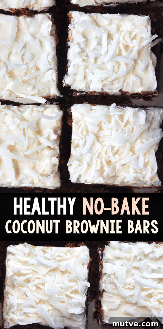 Coconut Chocolate Chip Brownie Healthy Snack Bars