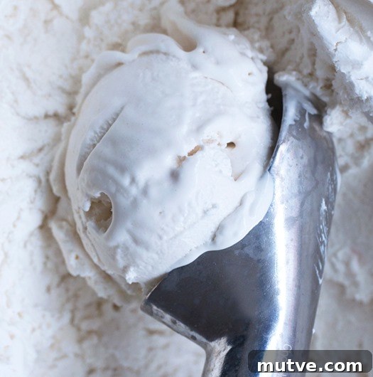 Coconut Milk Ice Cream