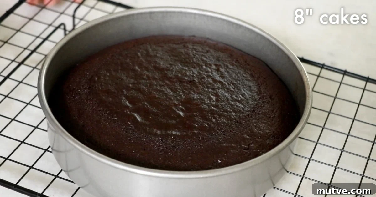 How to Frost a Cake: Step-by-Step for Smooth Icing 5 8" chocolate cake in a pan