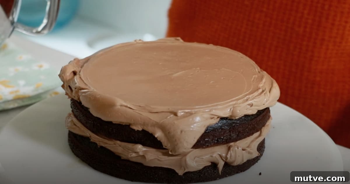 How to Frost a Cake: Step-by-Step for Smooth Icing 8 evenly spread chocolate buttercream on top of a 2nd layer of chocolate cake
