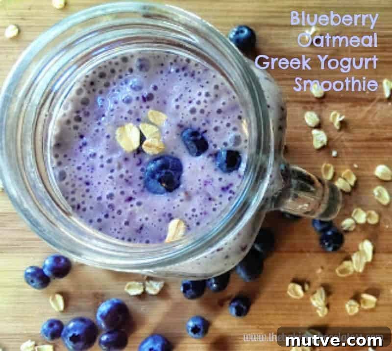 top of Blueberry Oatmeal Protein Smoothie (Greek Yogurt)