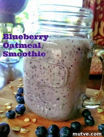 Blueberry Oatmeal Protein Smoothie (Greek Yogurt)