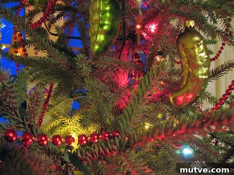 Rouladen: A German Christmas Eve Tradition 5 find the pickle
