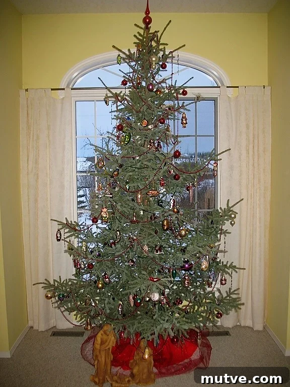 Rouladen: A German Christmas Eve Tradition 6 Christmas tree, 2011