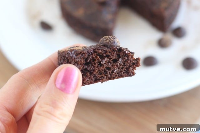 Single-Serve Fudgy No Pudge Brownie for One 4 No pudge fudge brownie for one recipe
