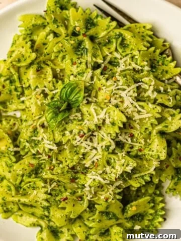 A plate full of farfalle pasta with pesto.