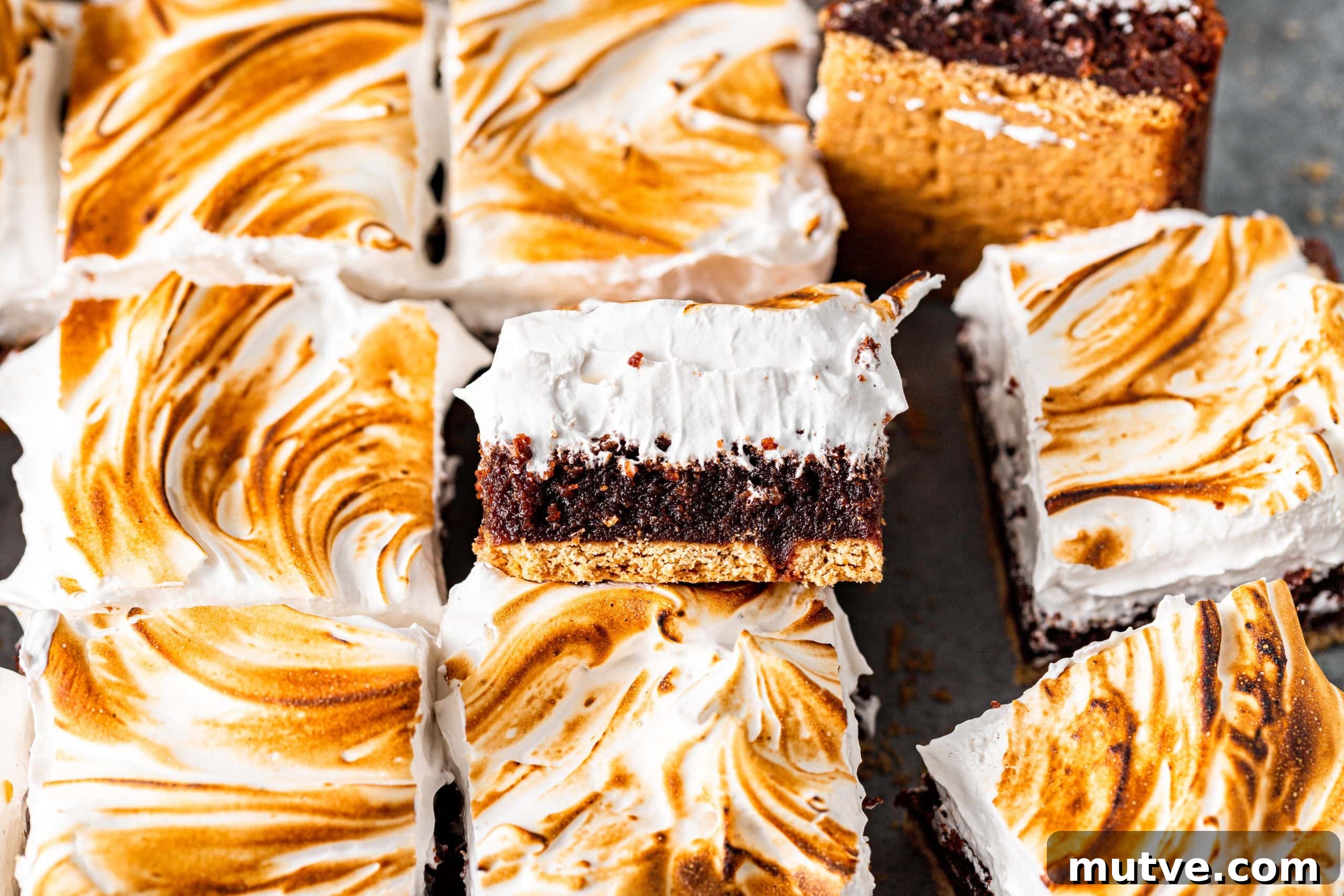 How to Write a Recipe Step by Step for Home Cooks 10 S'mores Brownies