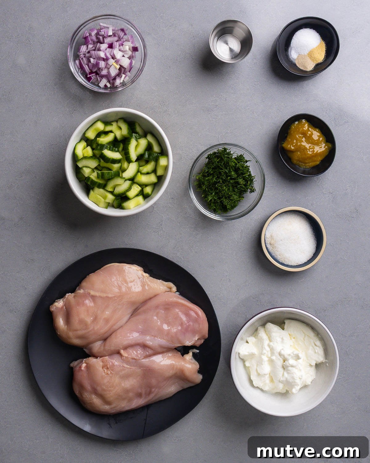 Ingredients shown: red onion, vinegar, salt, garlic powder, pepper, cucumber, dill, chicken base, sugar, chicken breasts, and Greek yogurt.