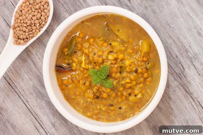 Argentine Lentil Stew | Foodal.com