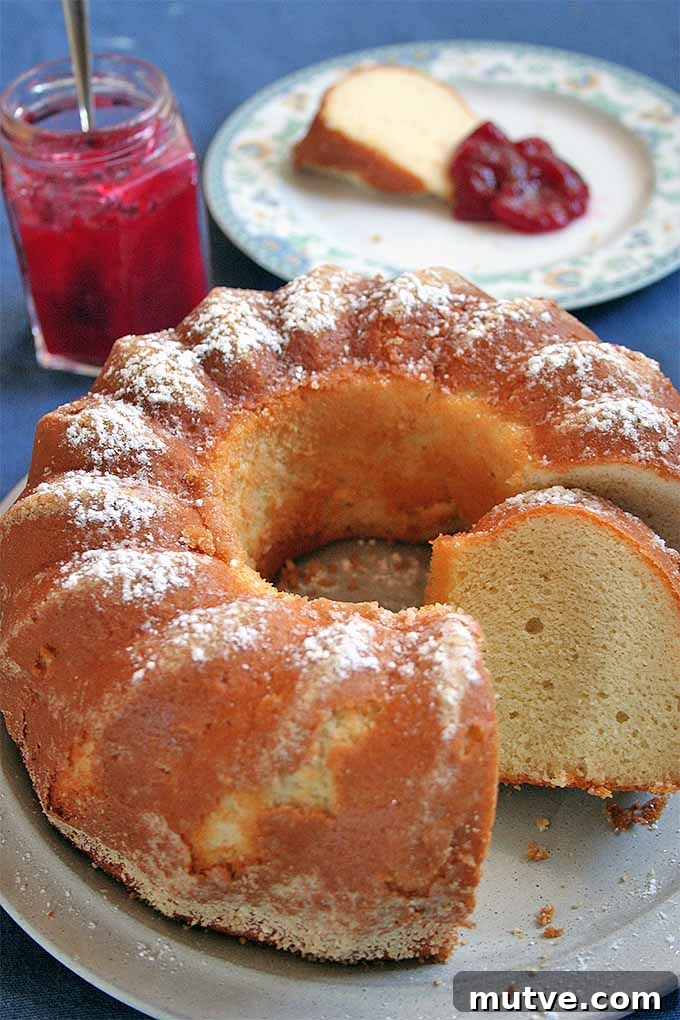 Can you get away with making a bare-bones cake that still manages to taste sensational? The answer: yes! It's more than possible if you follow this two ingredient recipe.