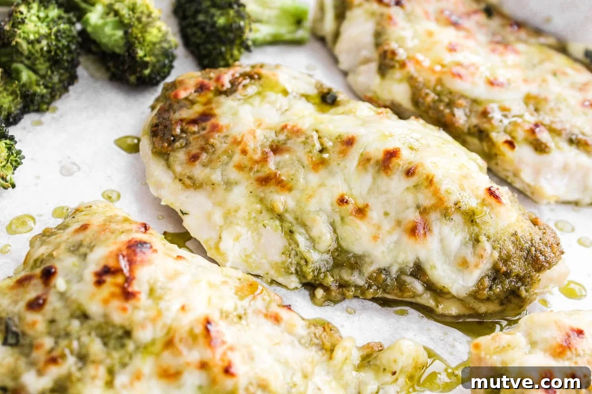 Sheet-Pan Pesto Chicken with Roasted Broccoli 5 Chicken breasts covered in pesto and mozzarella on a baking sheet