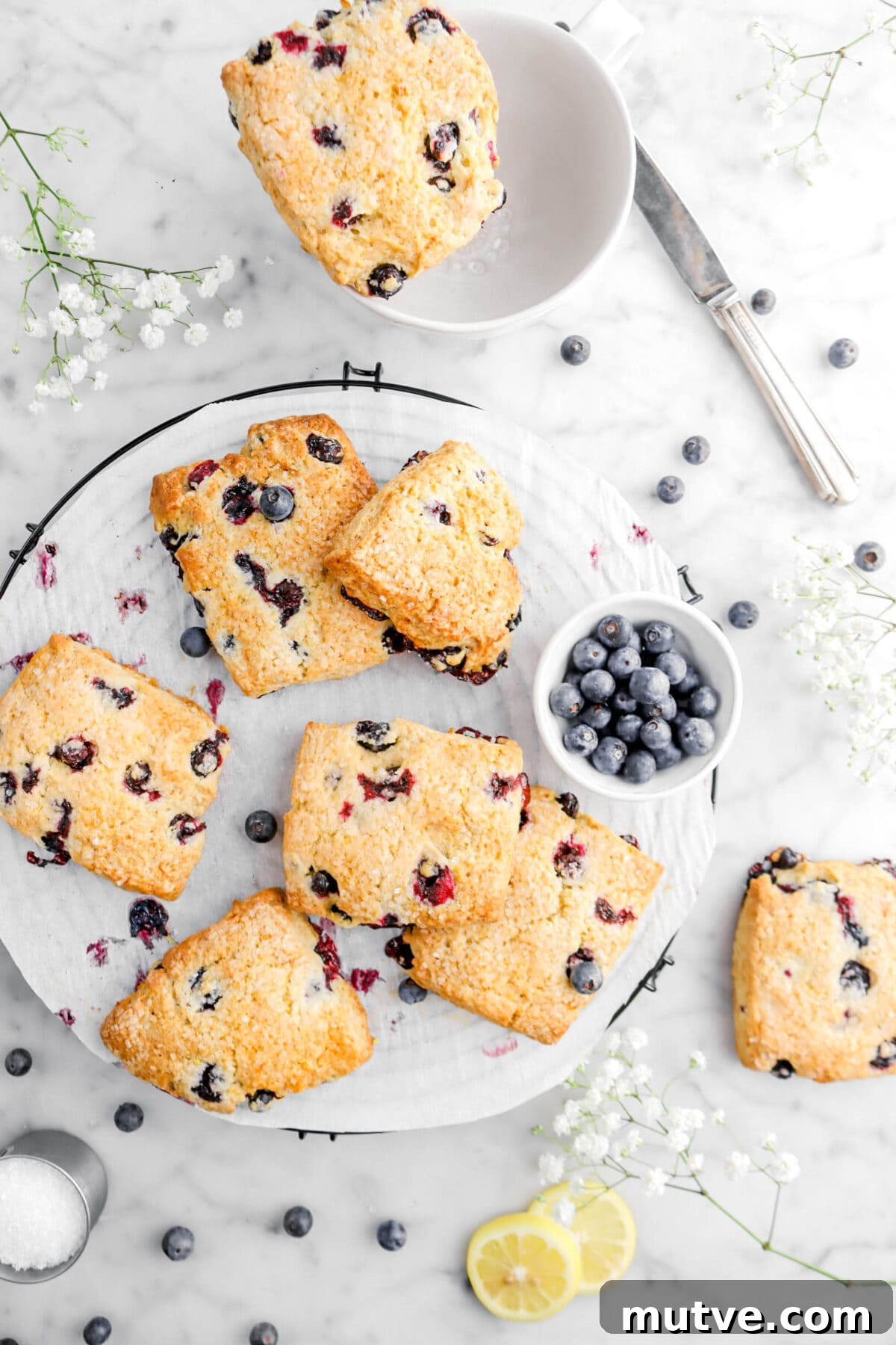 six lemon blueberry scones on wire cooling rack with two scones beside cooling rack, flowers, and blueberries around