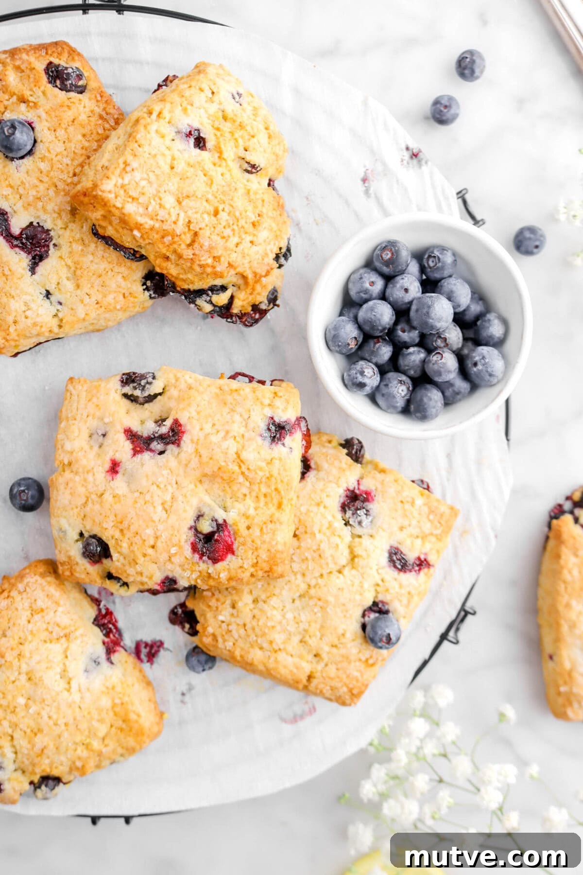 close up of five scones on wire cooling rack with small bowl of blueberries beside
