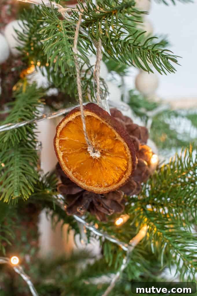 DIY orange slice christmas ornament