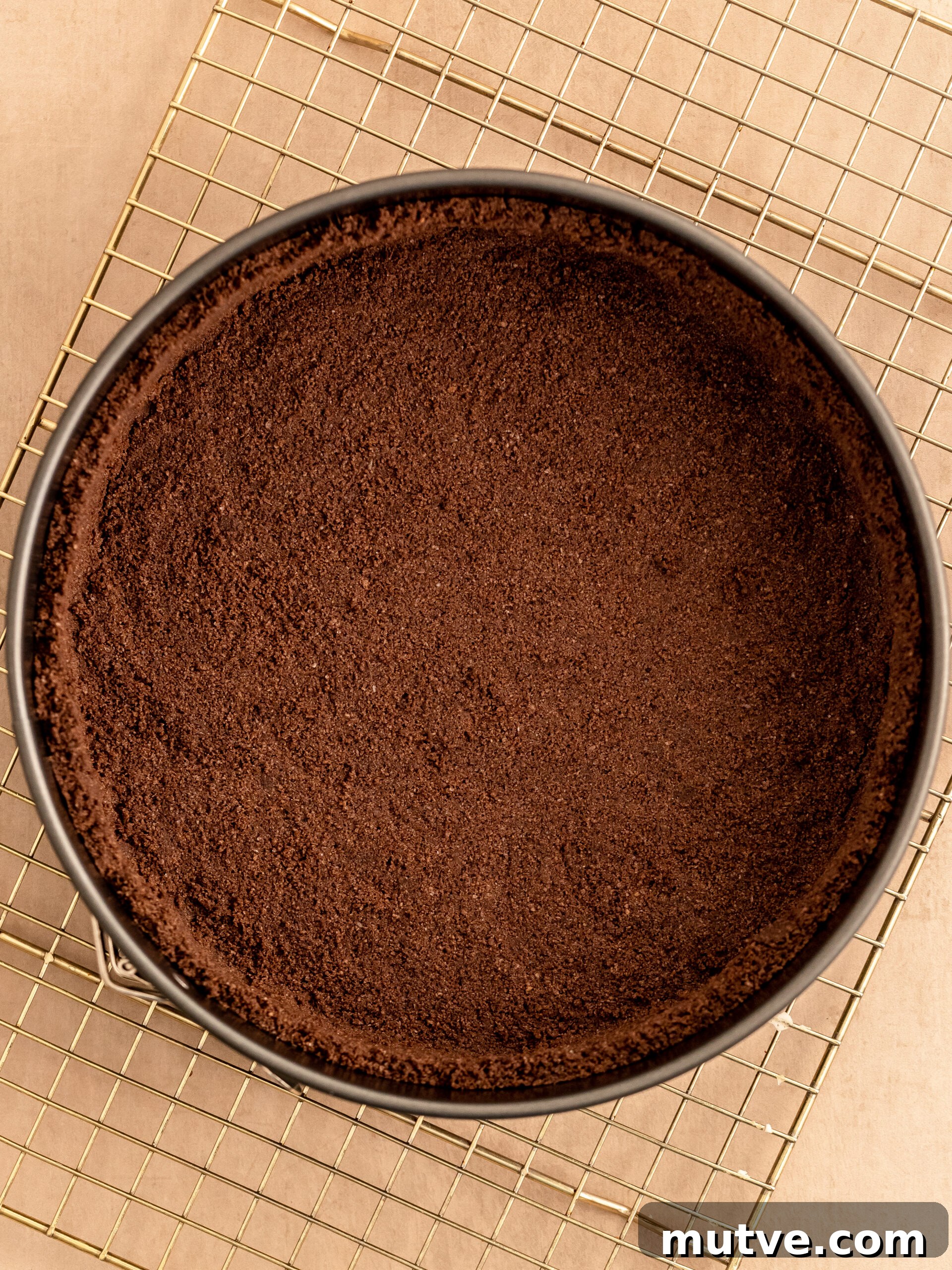 Zesty Chocolate Orange Cheesecake Recipe 3 Crust preparation