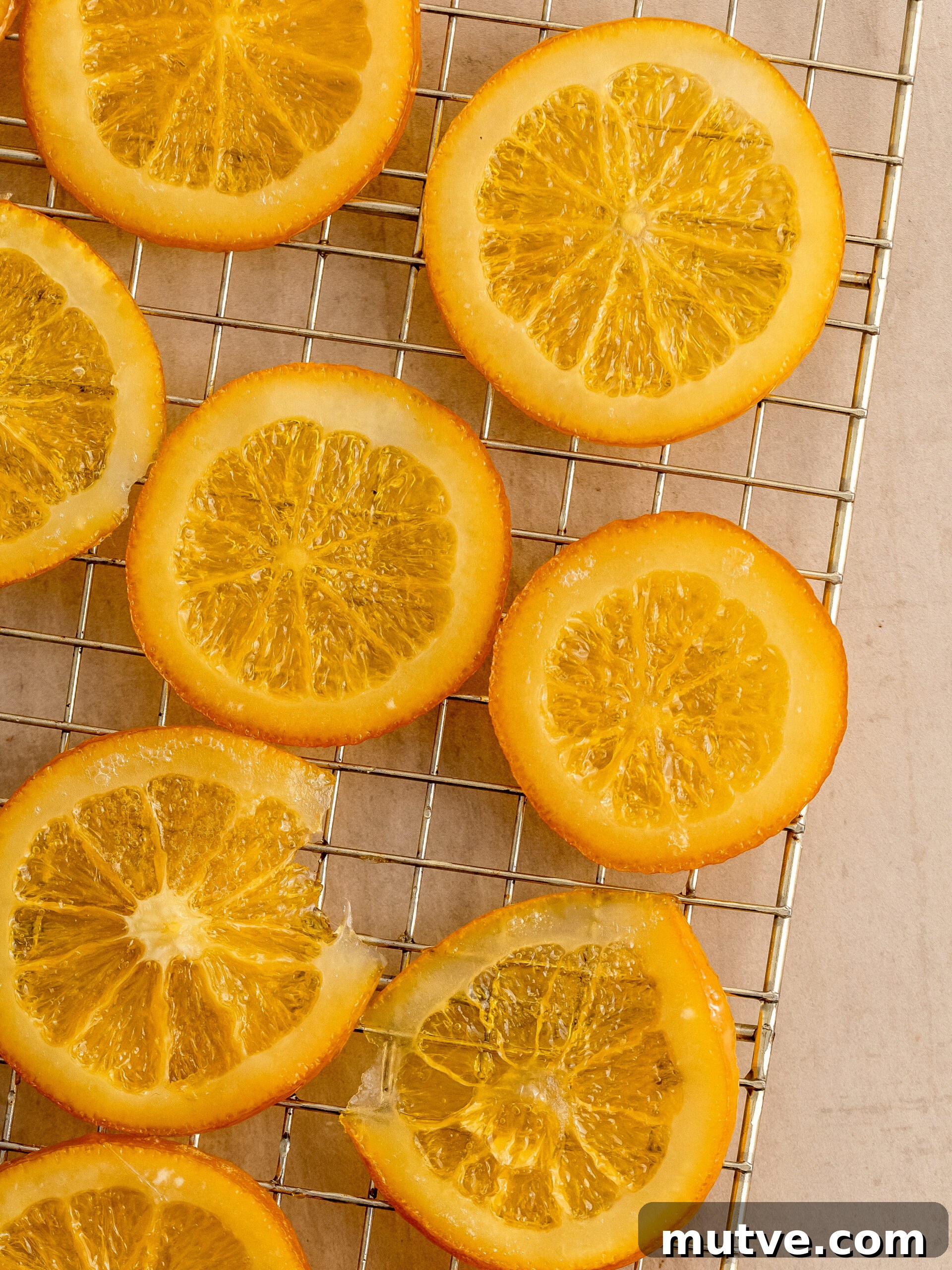 Zesty Chocolate Orange Cheesecake Recipe 7 Candied orange slices