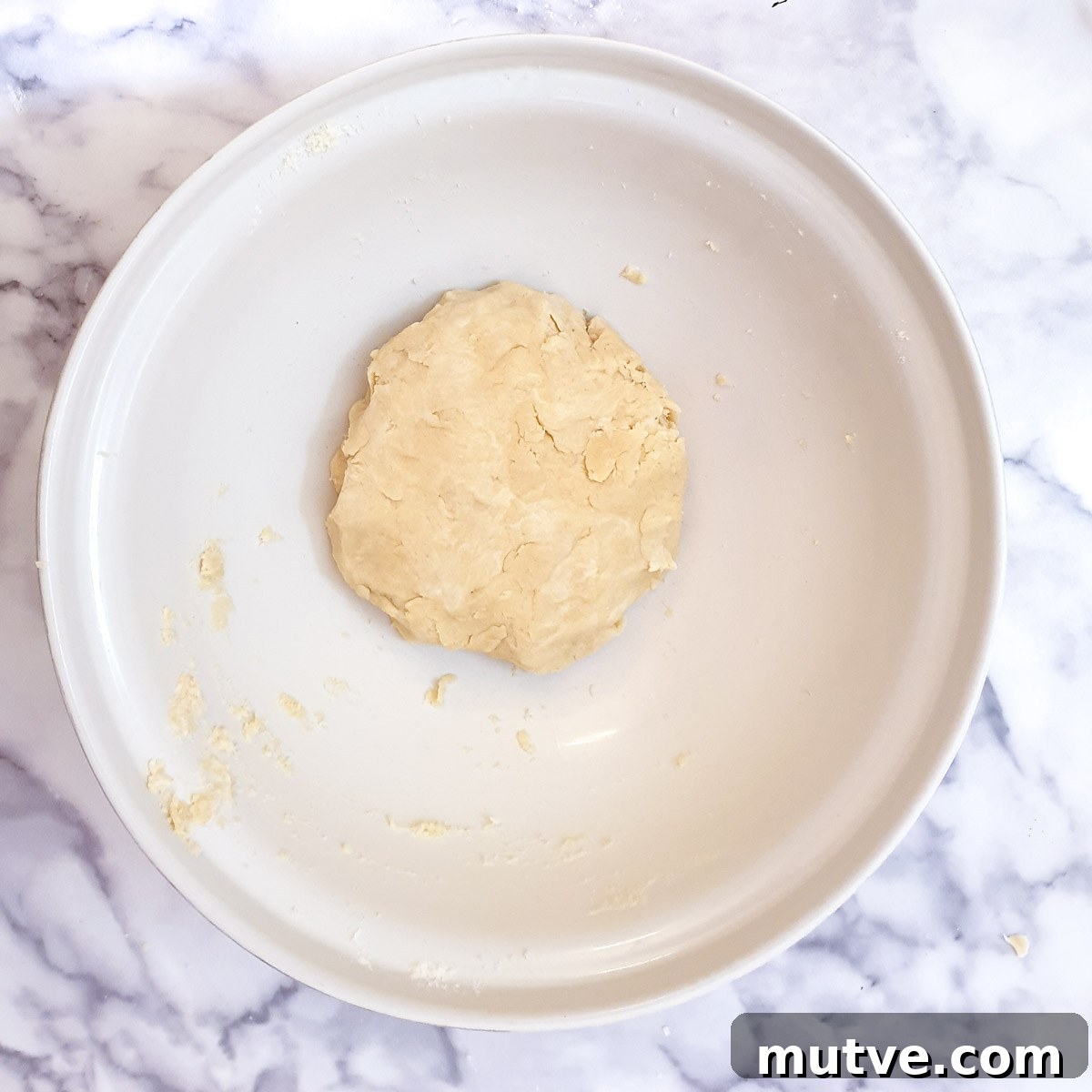 Fully mixed dough in a mixing bowl.