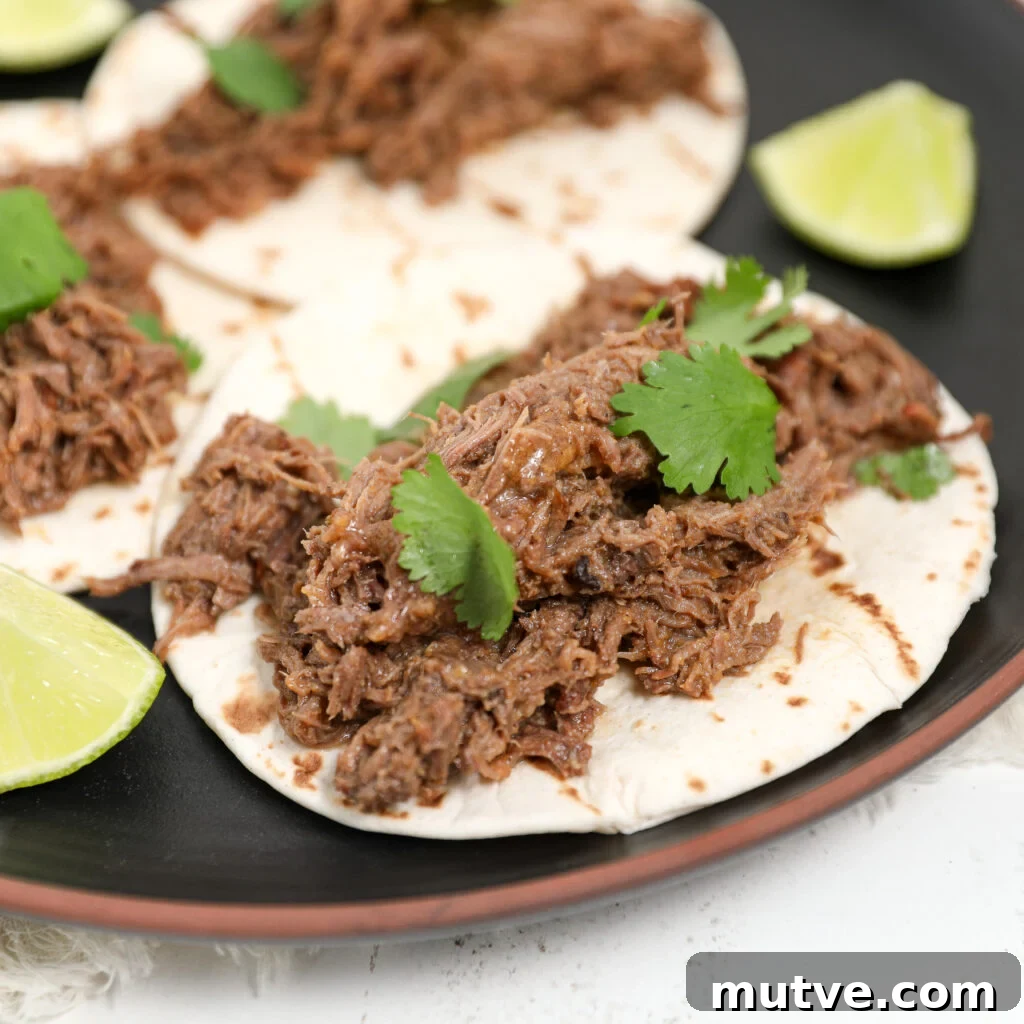 How to Make Authentic Barbacoa Beef 3 Shredded barbacoa ready for tacos