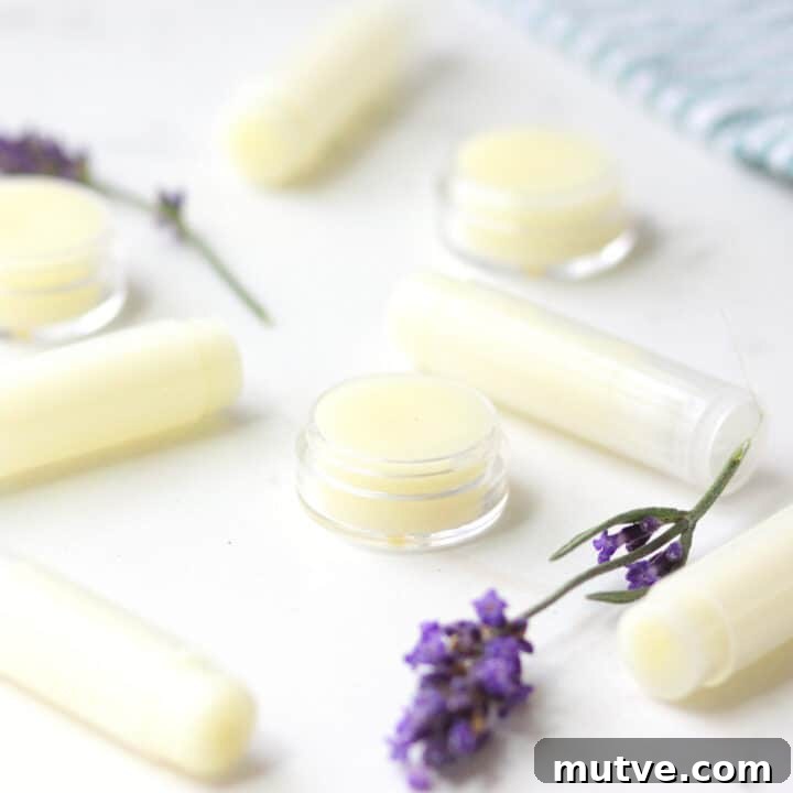 a variety of beeswax lip balms laying on a white table surrounded by lavender flowers
