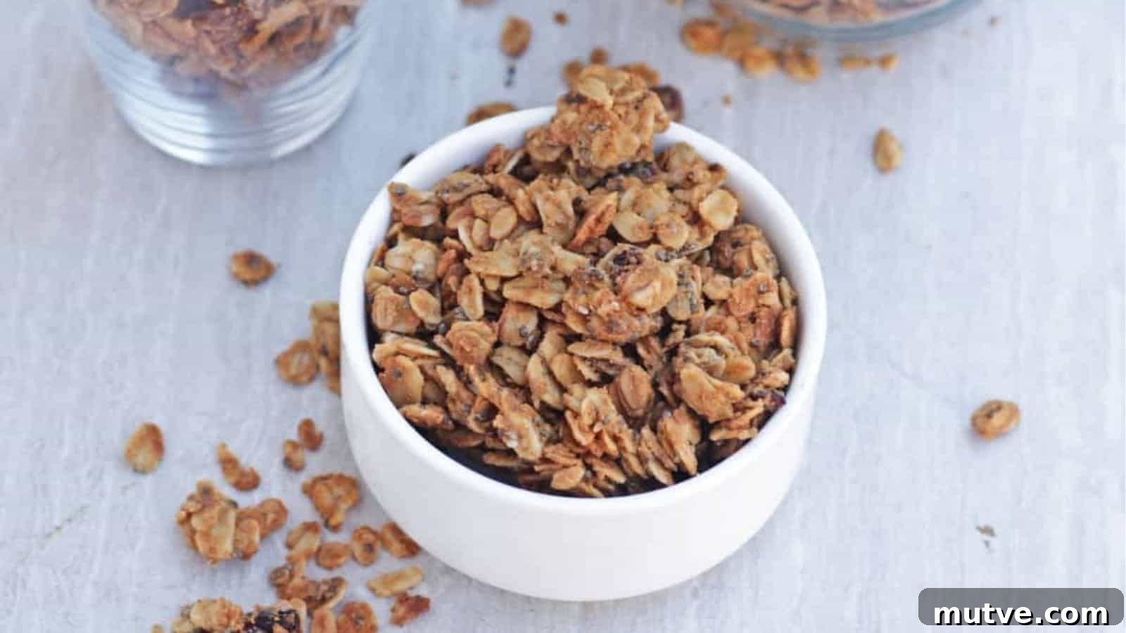 22 Flavorful Chia Seed Recipes: Breakfast, Snacks and Desserts 14 Homemade Peanut Butter Granola