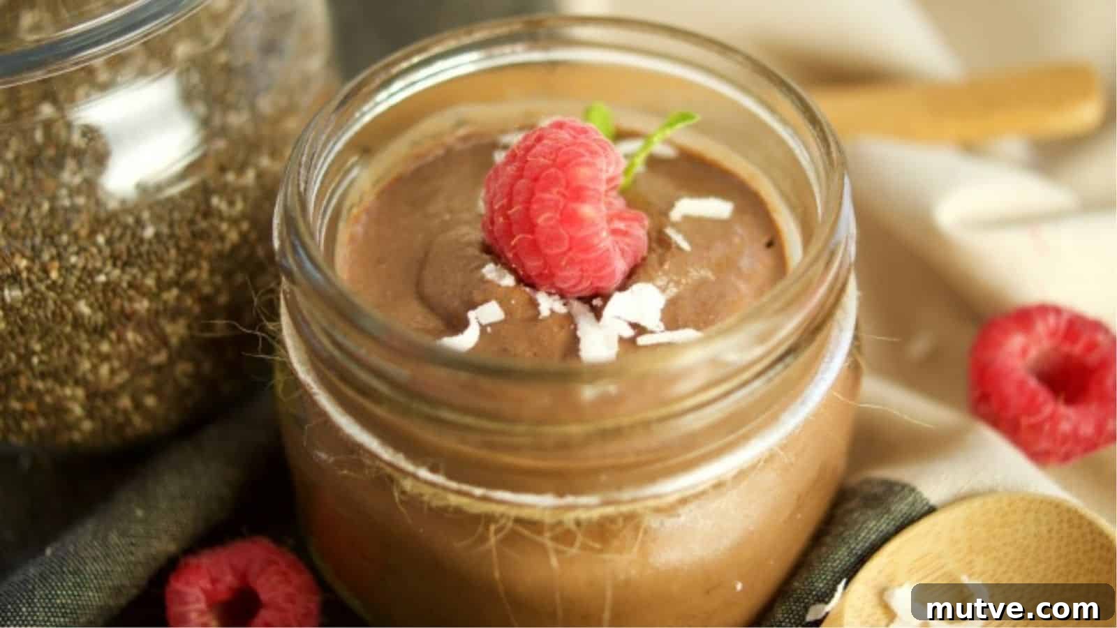 22 Flavorful Chia Seed Recipes: Breakfast, Snacks and Desserts 15 Double Chocolate Chia Pudding