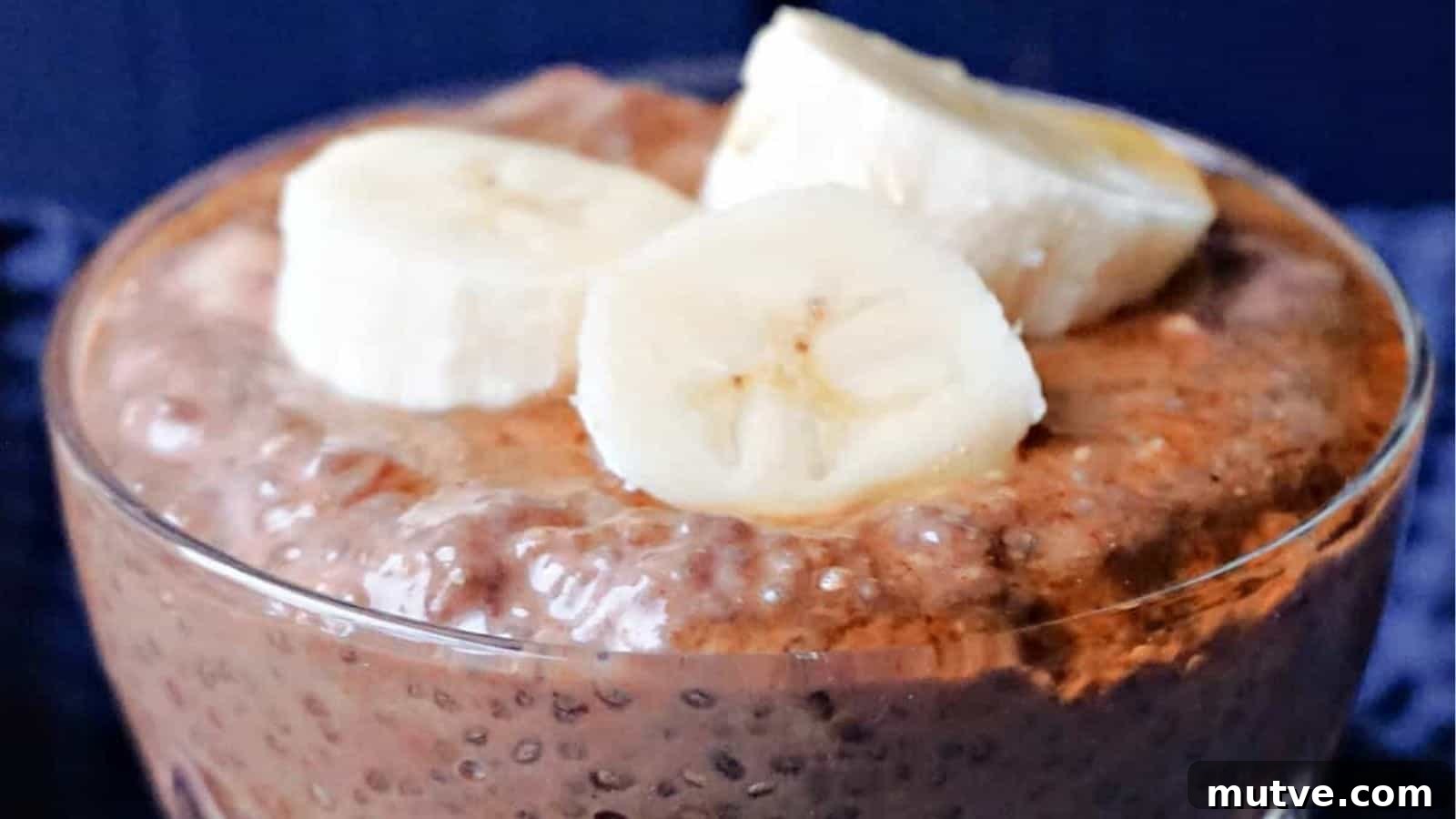 22 Flavorful Chia Seed Recipes: Breakfast, Snacks and Desserts 18 Chocolate Banana Chia Seed Pudding